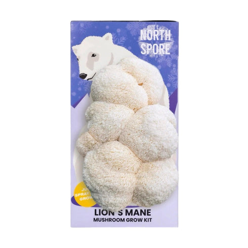 Organic Lion's Mane ‘Spray & Grow’ Polar Bear Mushroom Growing Kit